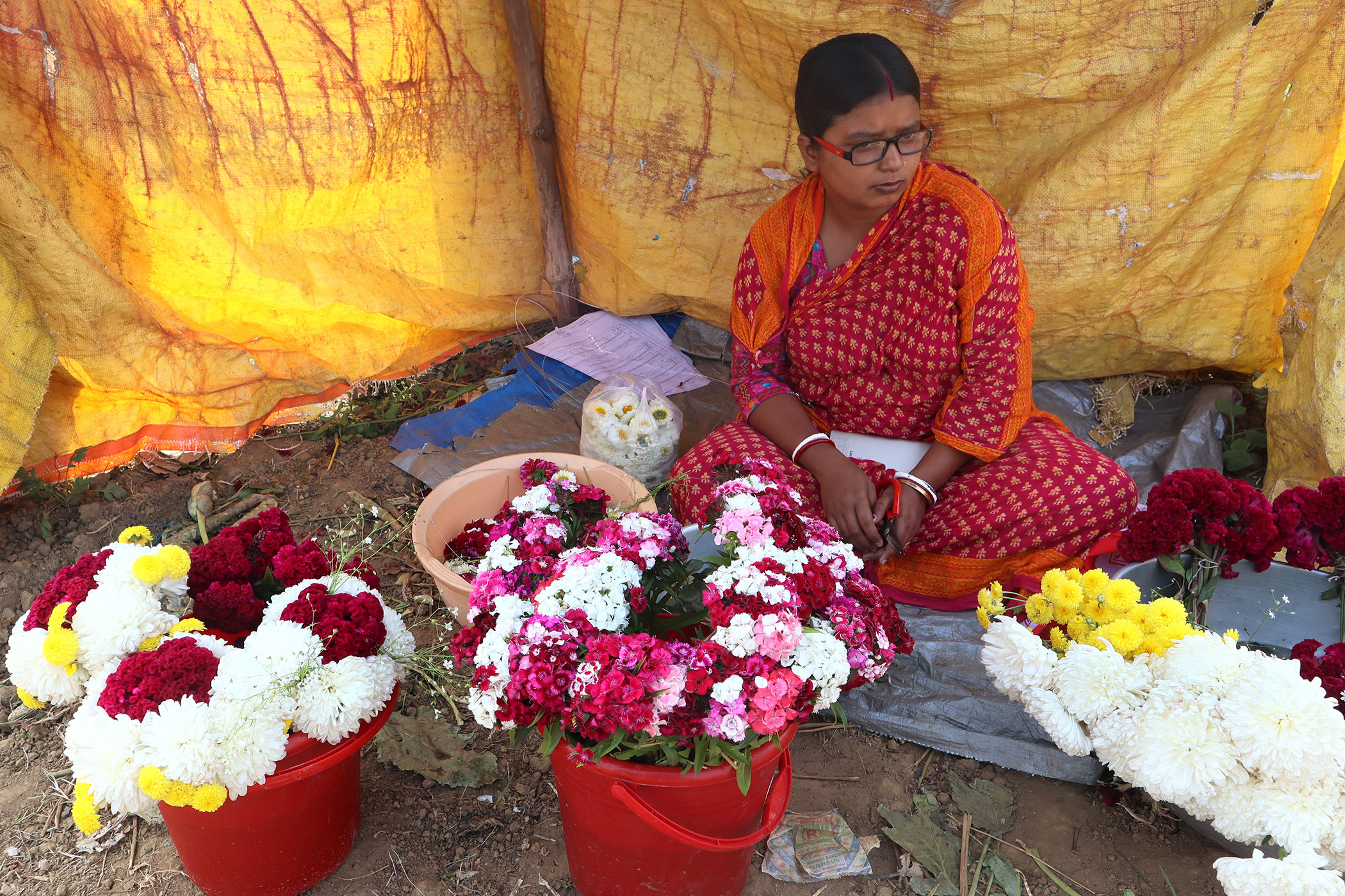 Article - Valley of Flower (West Bengal) Arpita Dey