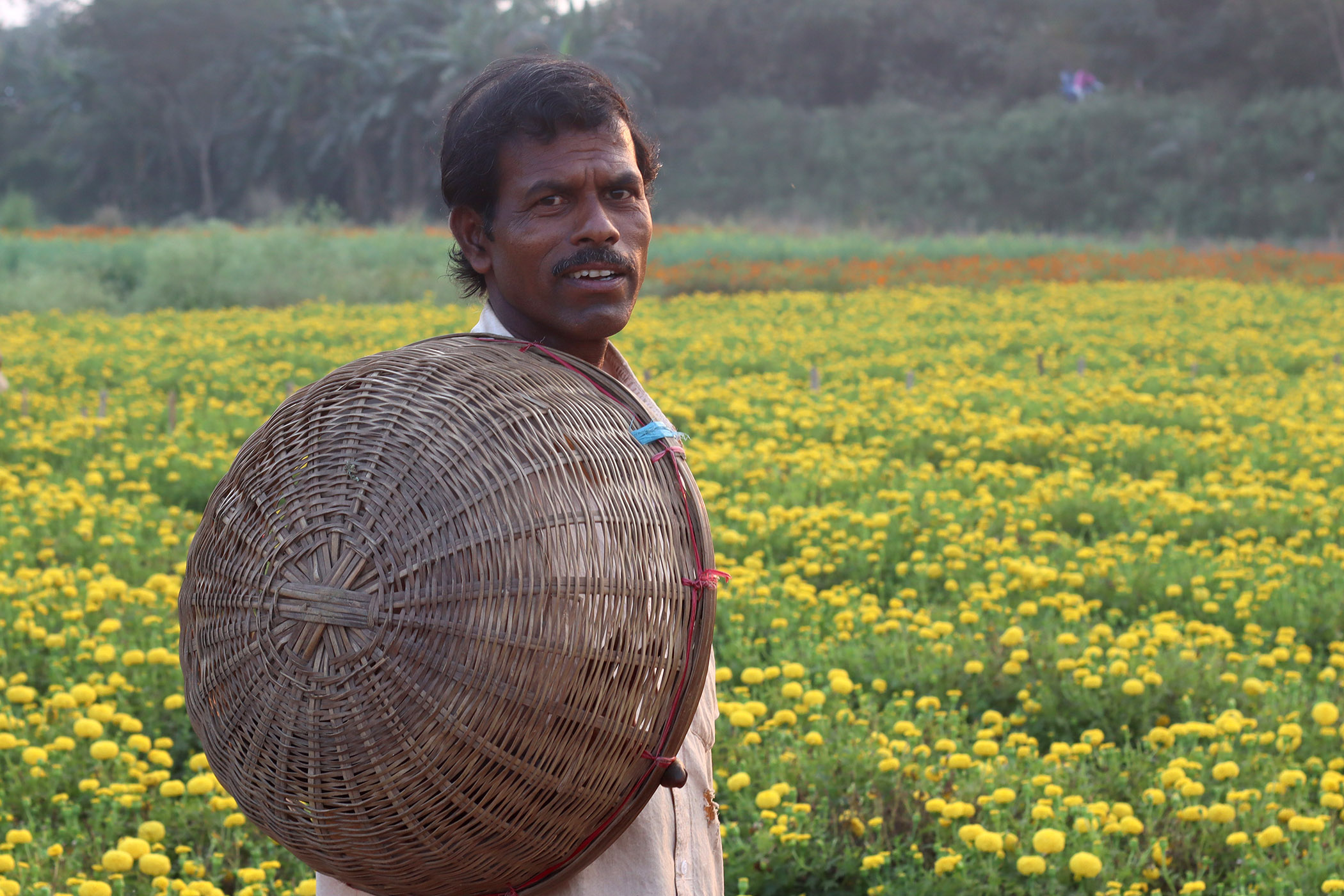 Article - Valley of Flower (West Bengal) Arpita Dey