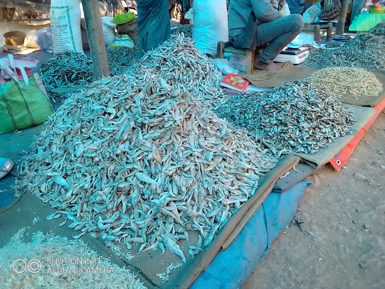 dry fish