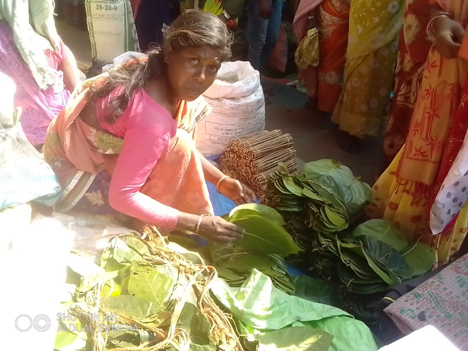 selling leaves for livelihood