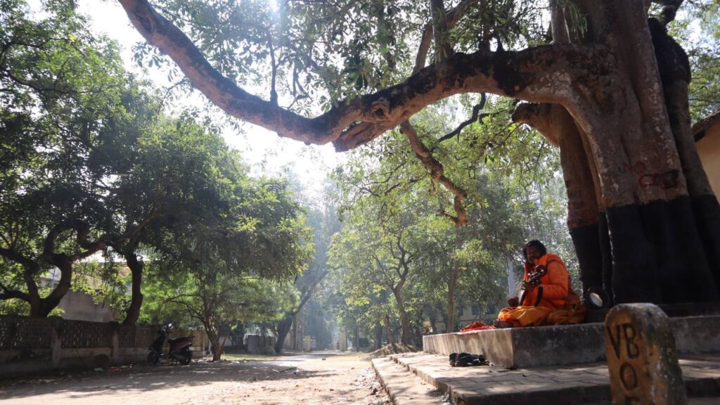 Home of peace, cradle of culture